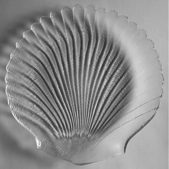 Arcoroc France Coquillage Shell Plates–Set of 8–7.75" 2 sets of 4-original box - Picture 3 of 5